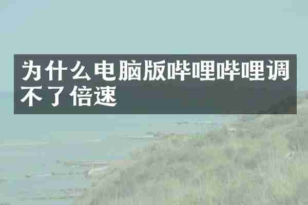 为什么电脑版哔哩哔哩调不了倍速
