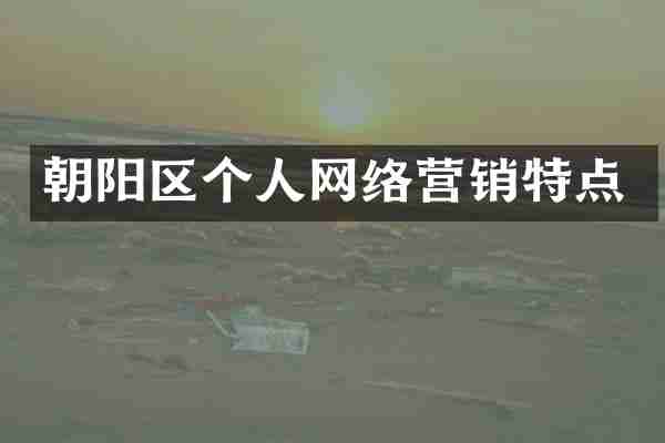 朝阳区个人网络营销特点