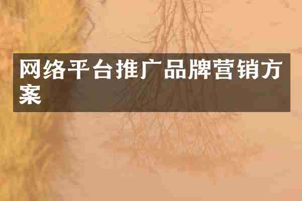 网络平台推广品牌营销方案