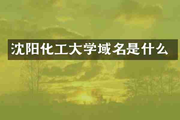 沈阳化工大学域名是什么