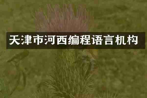 天津市河西编程语言机构