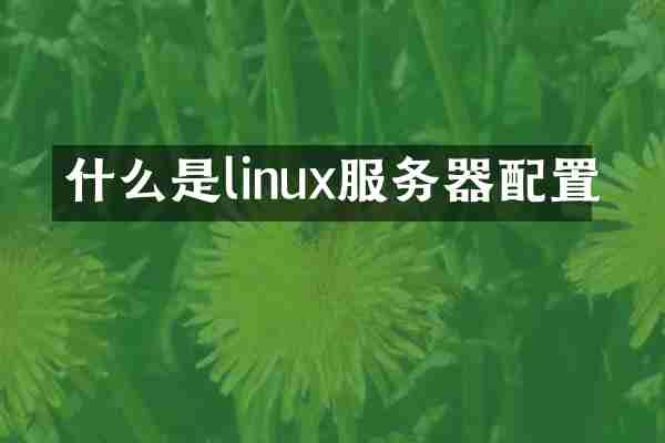 什么是linux服务器配置