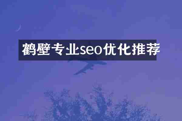 鹤壁专业seo优化推荐