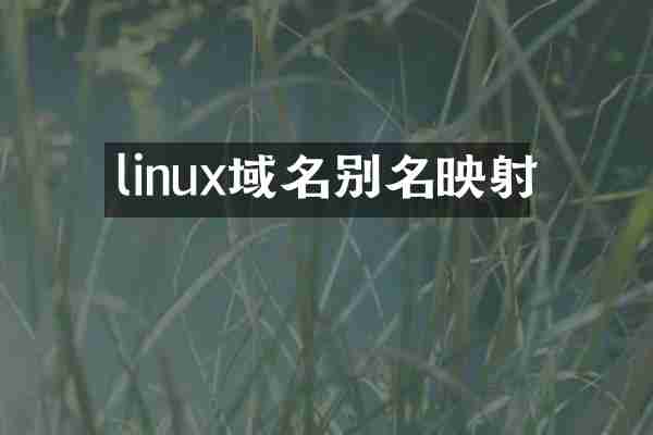 linux域名别名映射