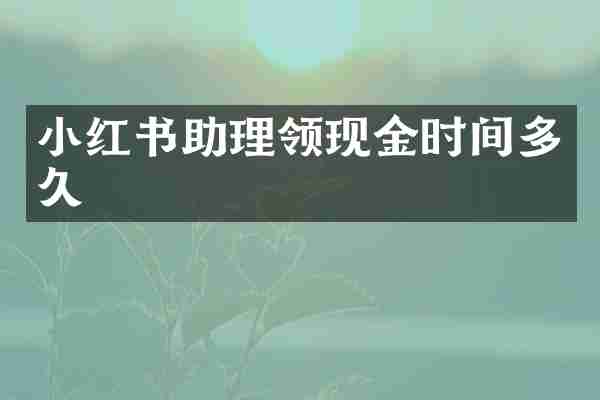 小红书助理领现金时间多久