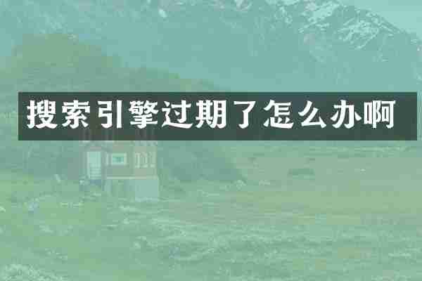 搜索引擎过期了怎么办啊