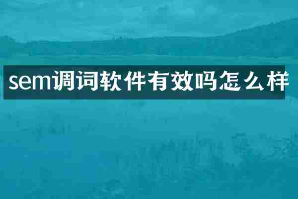 sem调词软件有效吗怎么样