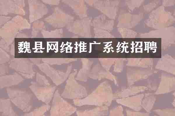 魏县网络推广系统招聘