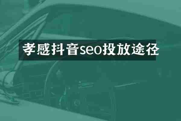 孝感抖音seo投放途径