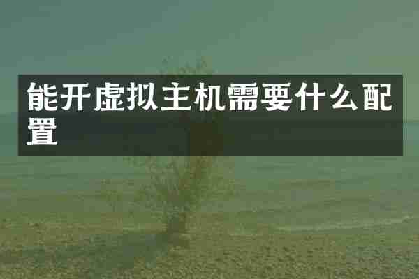 能开虚拟主机需要什么配置