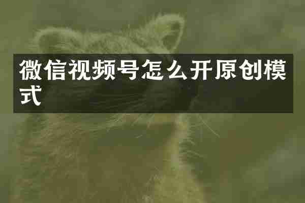 微信视频号怎么开原创模式