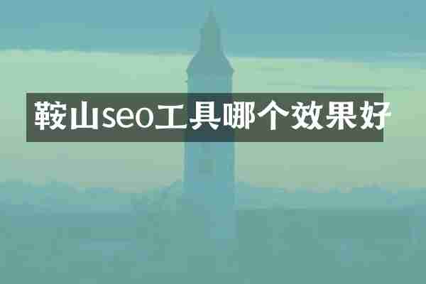 鞍山seo工具哪个效果好