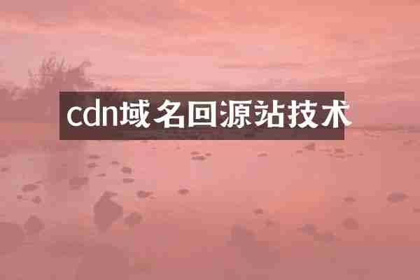 cdn域名回源站技术