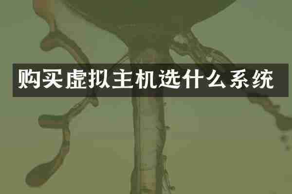 购买虚拟主机选什么系统