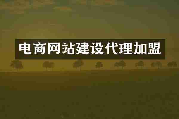 电商网站建设代理加盟