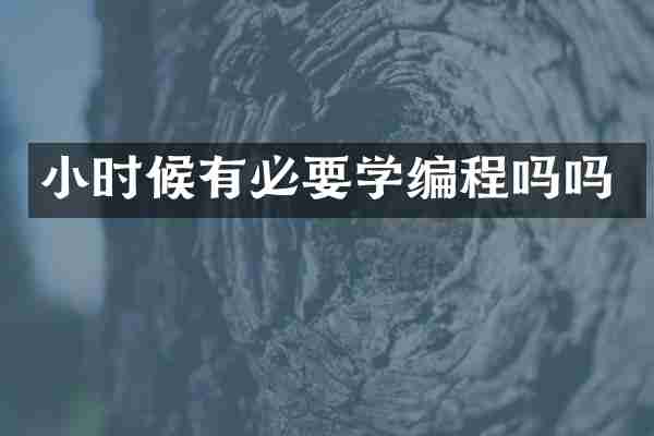小时候有必要学编程吗吗
