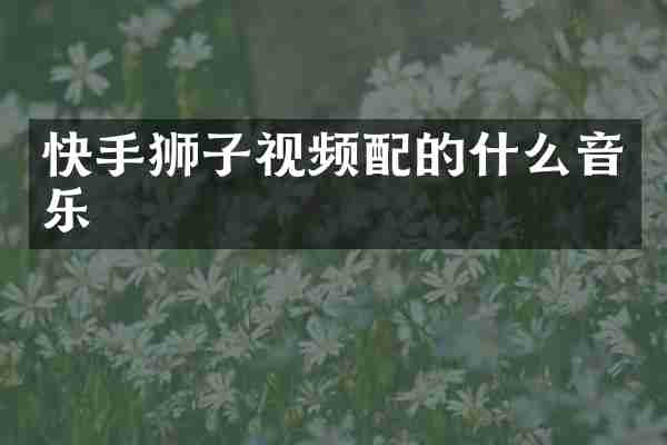 快手狮子视频配的什么音乐