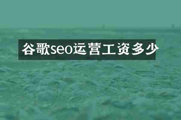 谷歌seo运营工资多少