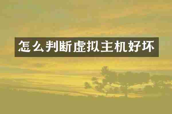 怎么判断虚拟主机好坏