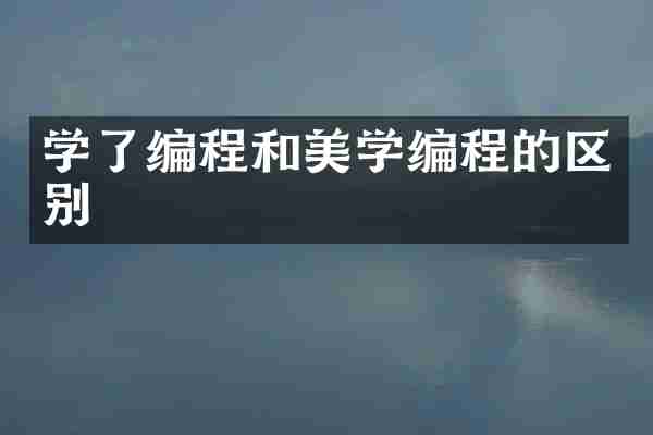 学了编程和美学编程的区别