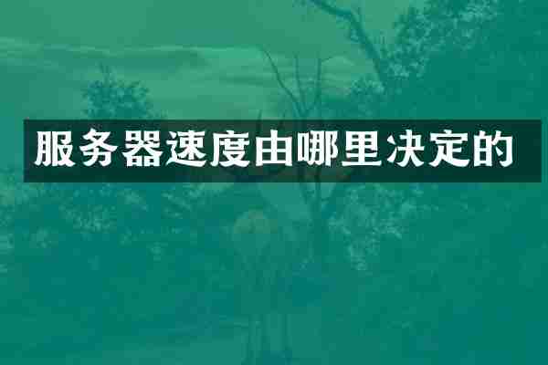 服务器速度由哪里决定的