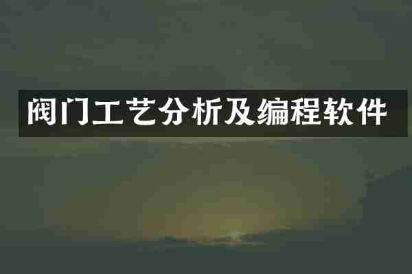 阀门工艺分析及编程软件