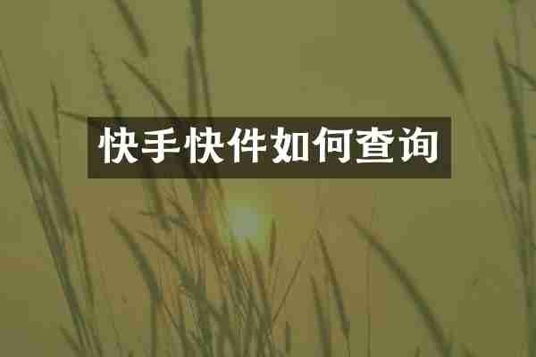 快手快件如何查询