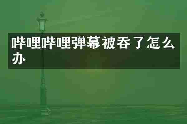 哔哩哔哩弹幕被吞了怎么办