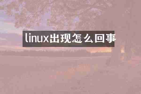 linux出现怎么回事