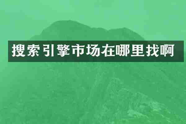 搜索引擎市场在哪里找啊