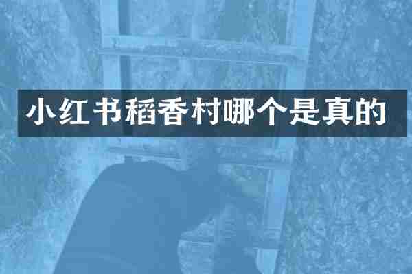 小红书稻香村哪个是真的