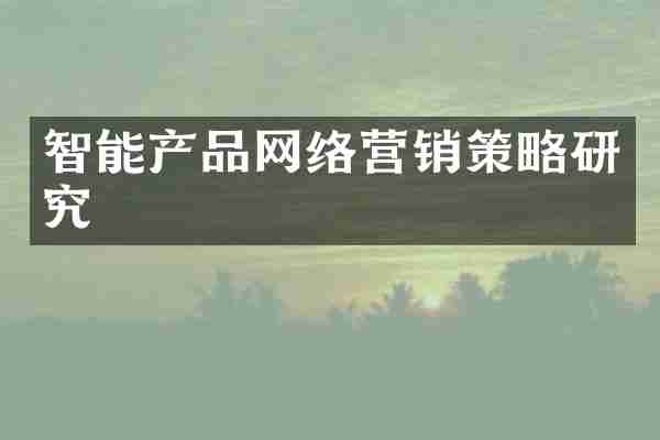 智能产品网络营销策略研究