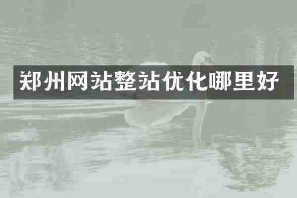 郑州网站整站优化哪里好