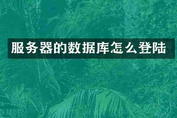 服务器的数据库怎么登陆