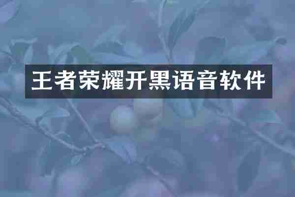 王者荣耀开黑语音软件