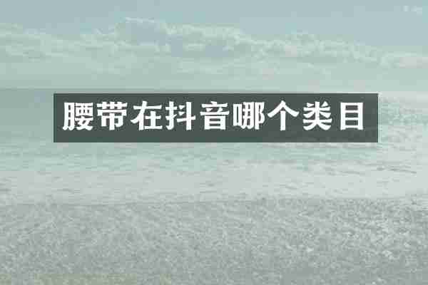 腰带在抖音哪个类目