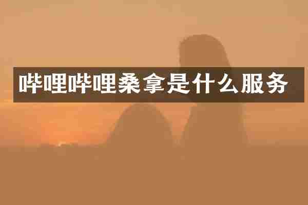 哔哩哔哩桑拿是什么服务