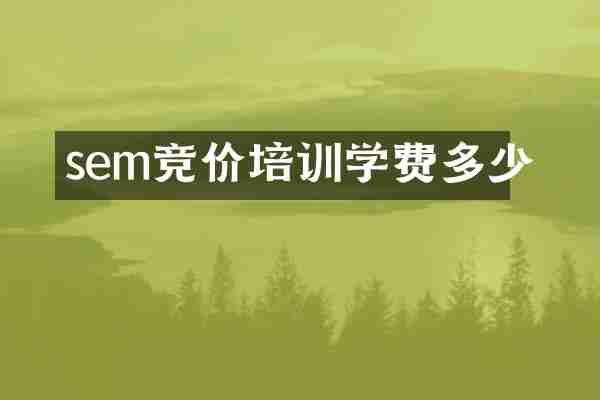 sem竞价培训学费多少