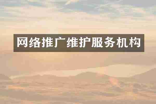 网络推广维护服务机构