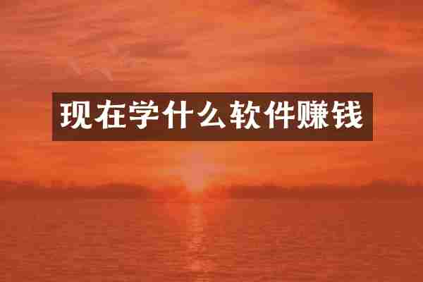 现在学什么软件赚钱