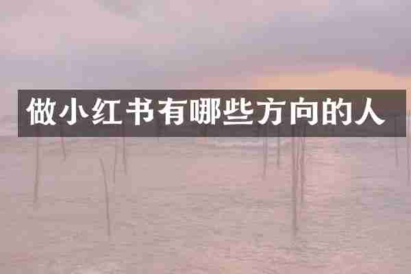 做小红书有哪些方向的人
