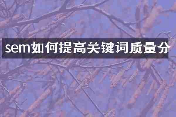 sem如何提高关键词质量分