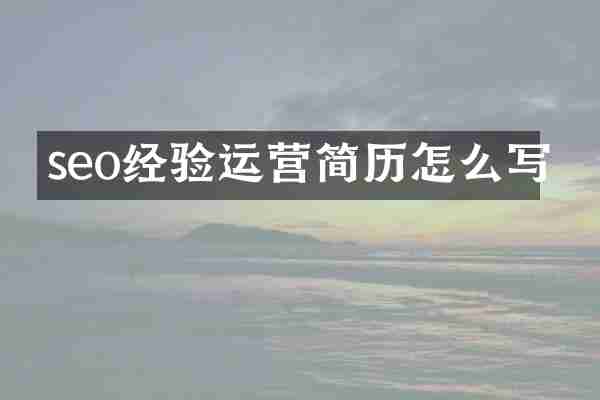 seo经验运营简历怎么写