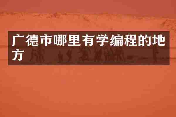 广德市哪里有学编程的地方