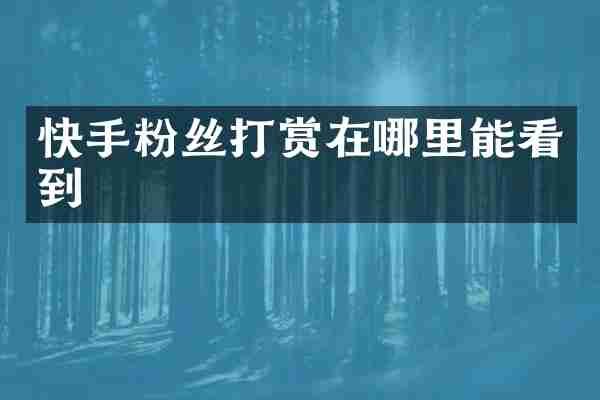 快手粉丝打赏在哪里能看到