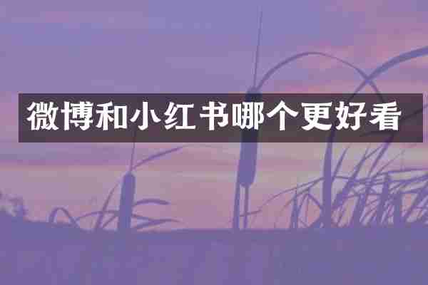 微博和小红书哪个更好看