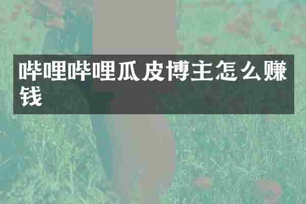 哔哩哔哩瓜皮博主怎么赚钱