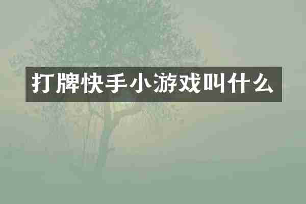 打牌快手小游戏叫什么