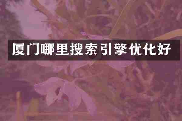 厦门哪里搜索引擎优化好