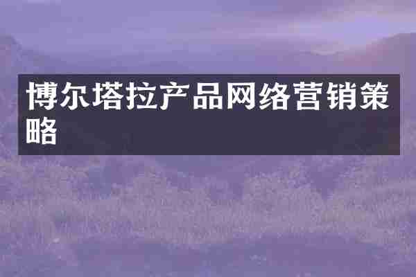 博尔塔拉产品网络营销策略